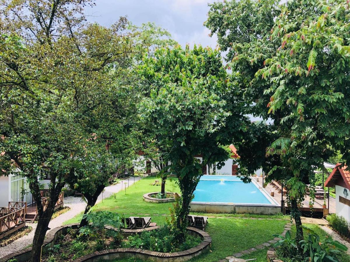 Jungle Paradise Vangvieng - Bungalows ヴァンヴィエン エクステリア 写真